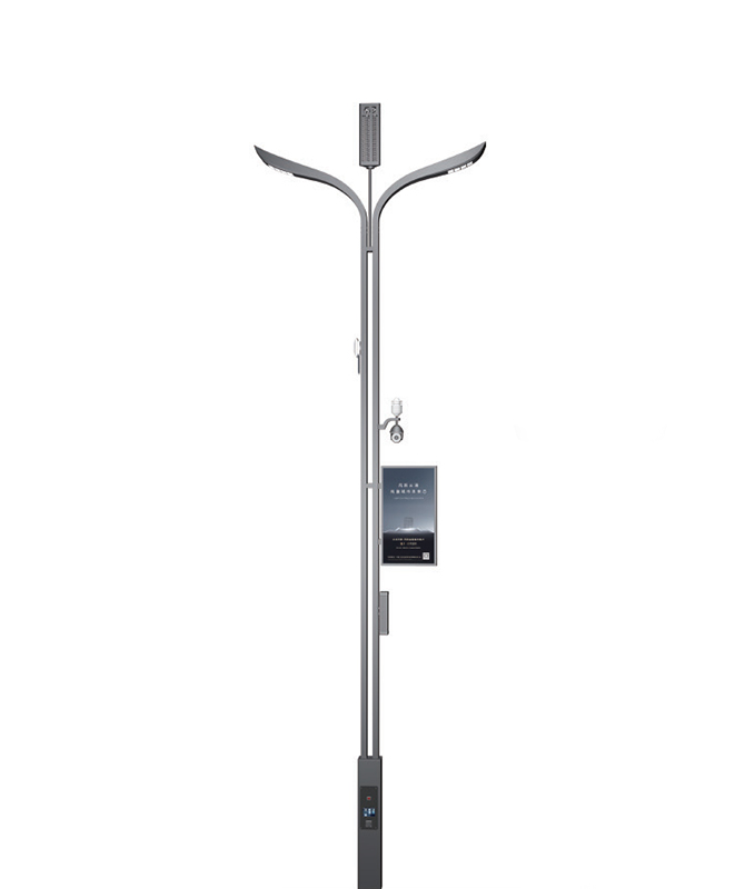 ZHLD-023 Smart Streetlights