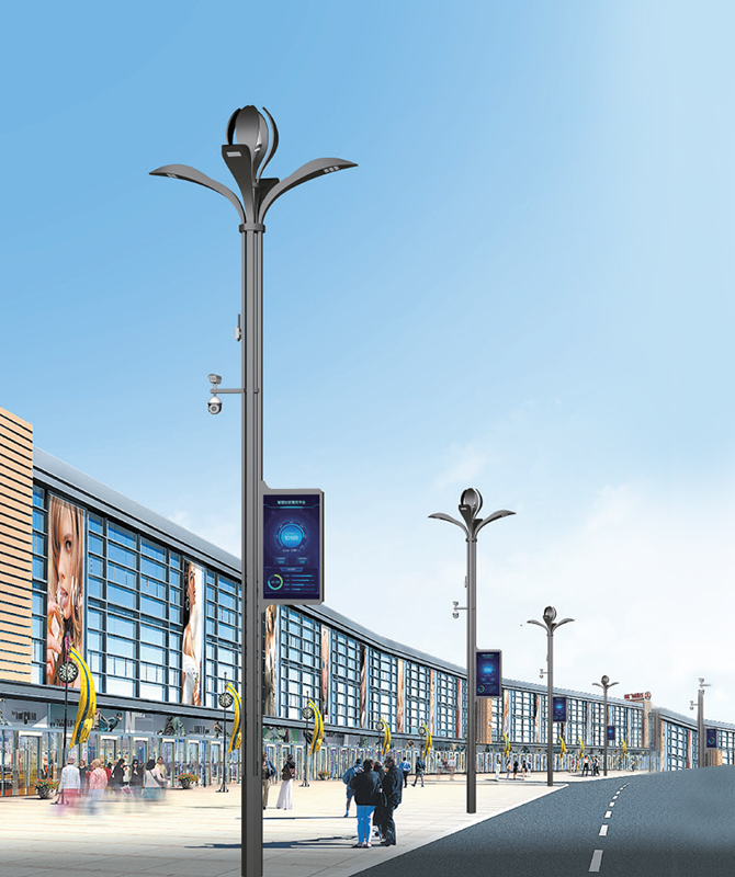 ZHLD-039 Smart Streetlights